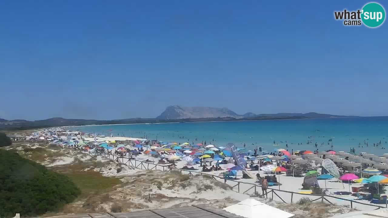 Webcam La Cinta spiaggia di San Teodoro (OT) – Sardegna