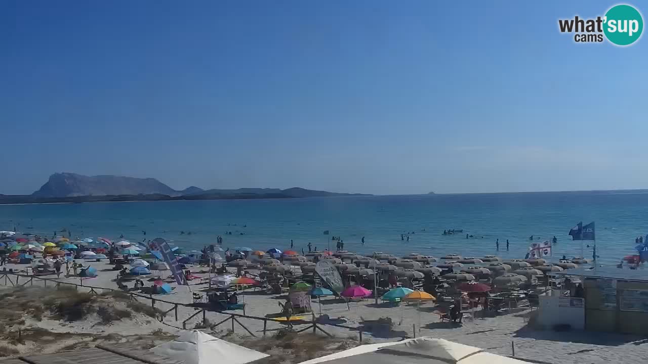 Playa de L’Isuledda – San Teodoro (OT) – Cerdeña