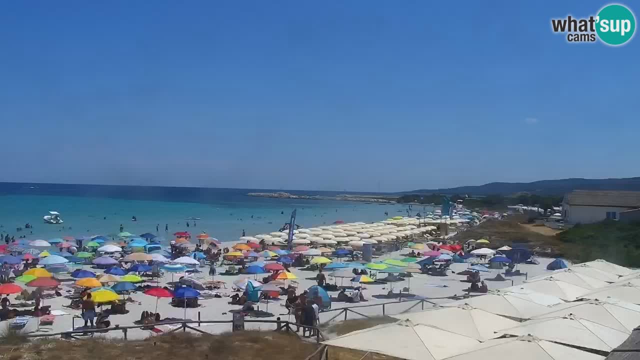 Plage de L’Isuledda – San Teodoro (OT) – Sardaigne