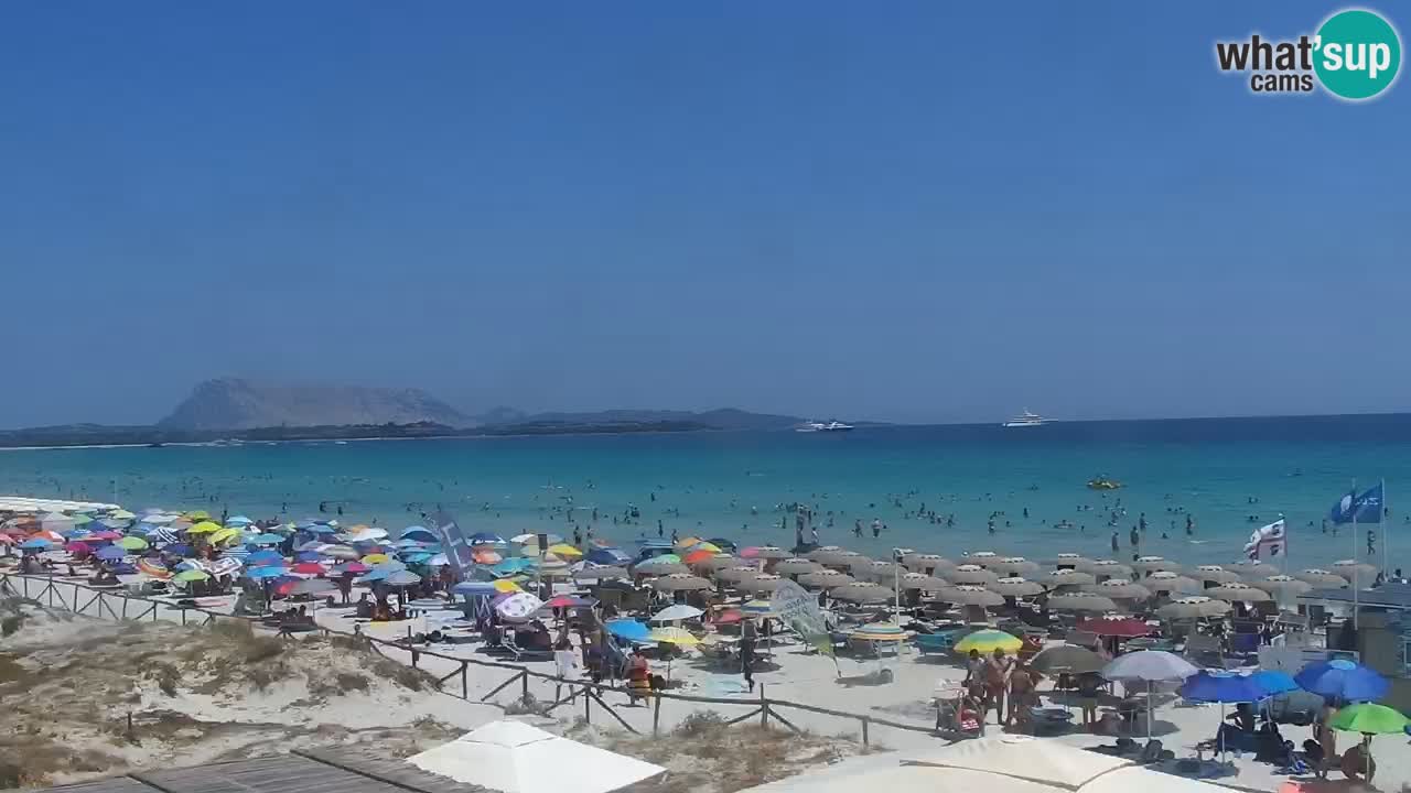 Playa de L’Isuledda – San Teodoro (OT) – Cerdeña
