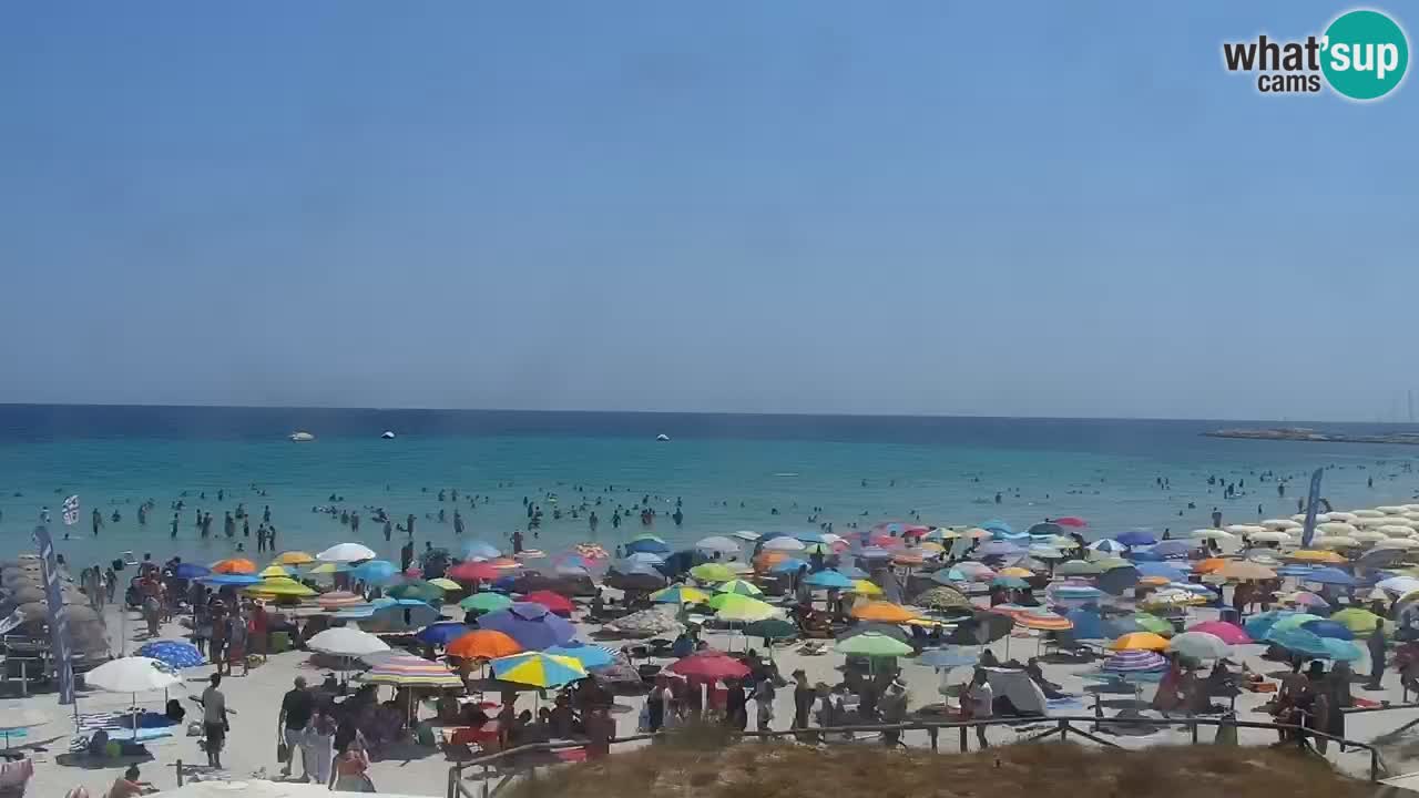 Plaža de L’Isuledda – San Teodoro (OT) – Sardinija