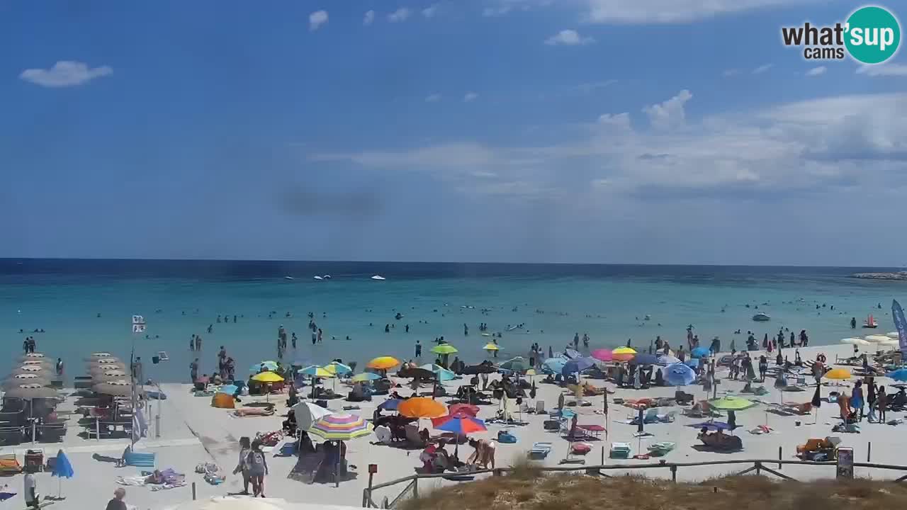 Plage de L’Isuledda – San Teodoro (OT) – Sardaigne
