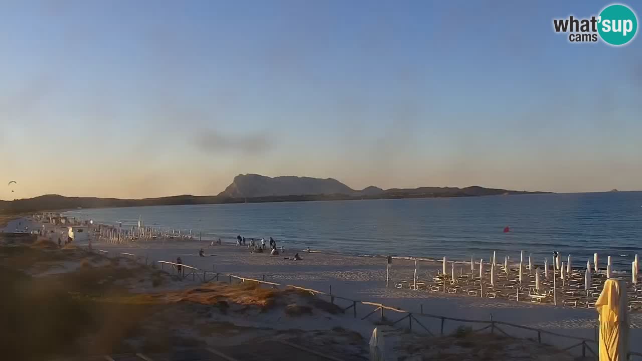 Beach de L’Isuledda – San Teodoro (OT) – Sardinia