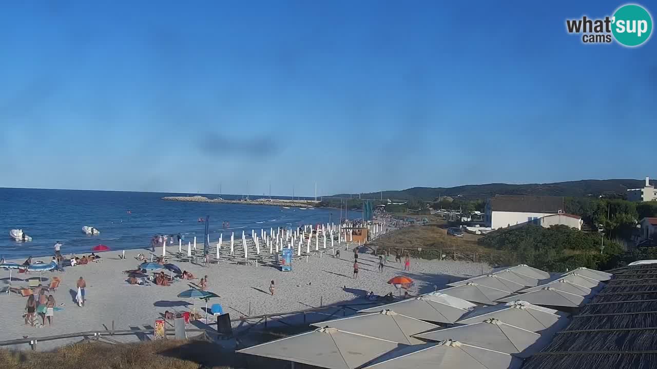 Beach de L’Isuledda – San Teodoro (OT) – Sardinia