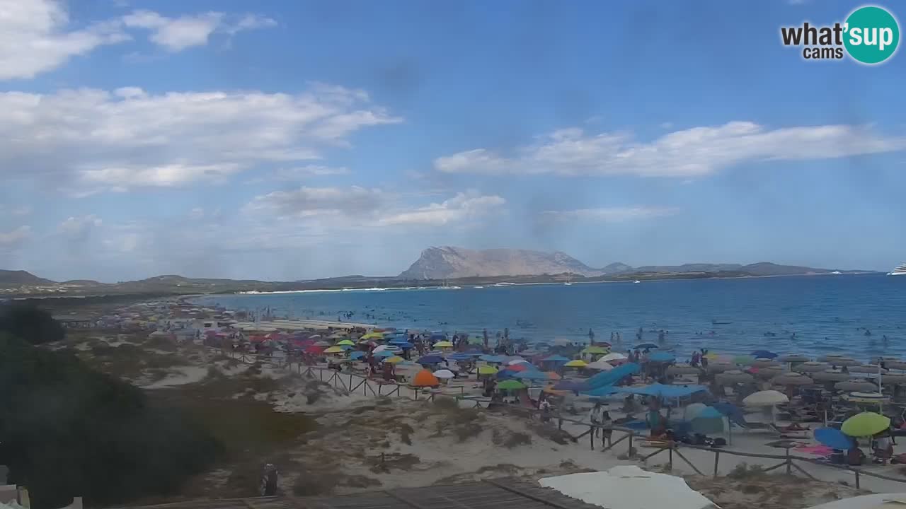 Plaža de L’Isuledda – San Teodoro (OT) – Sardinija