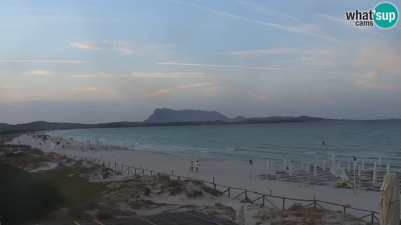 Beach de L’Isuledda – San Teodoro (OT) – Sardinia