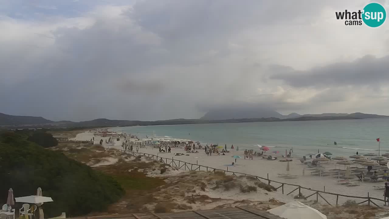 Plage de L’Isuledda – San Teodoro (OT) – Sardaigne