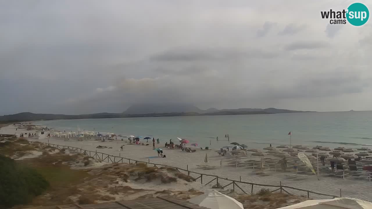 Strand de L’Isuledda – San Teodoro (OT) – Sardinien