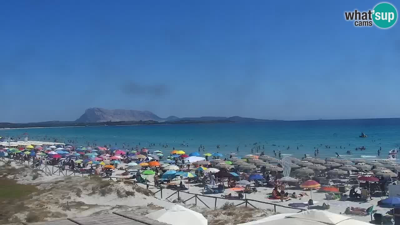 Playa de L’Isuledda – San Teodoro (OT) – Cerdeña