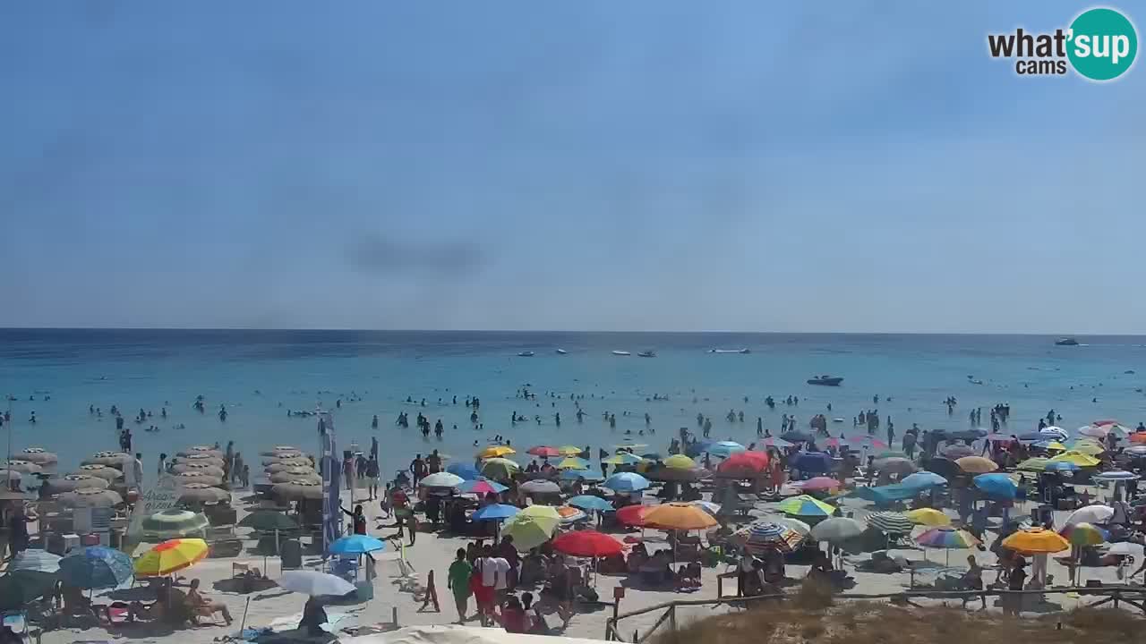 Plage de L’Isuledda – San Teodoro (OT) – Sardaigne