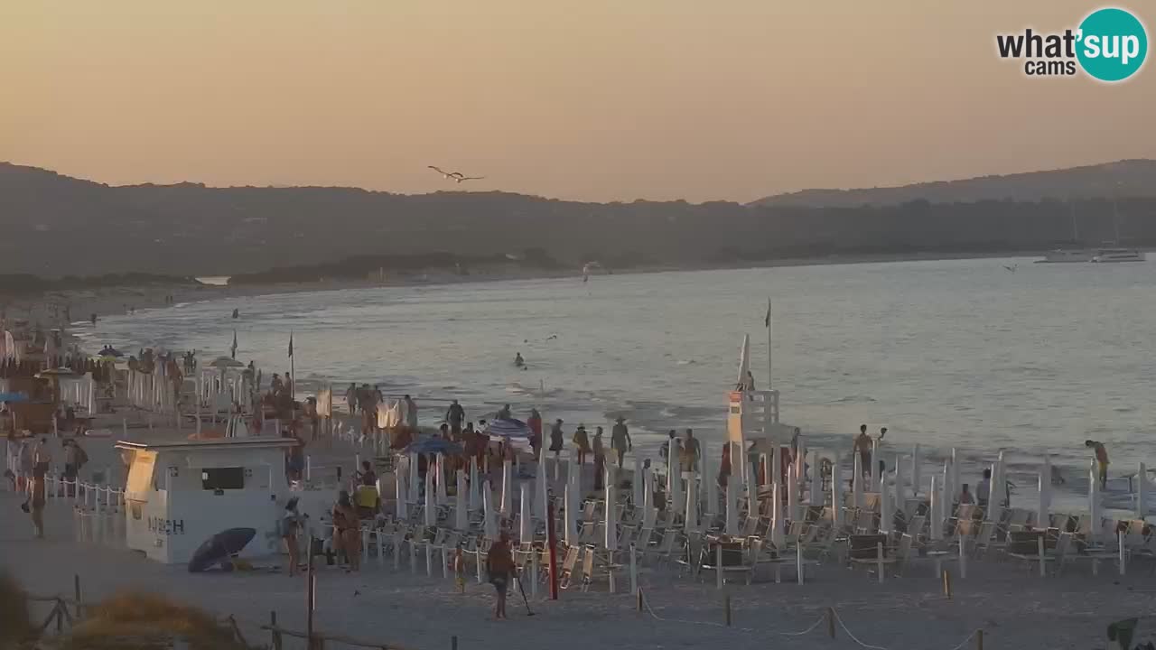 Plage de L’Isuledda – San Teodoro (OT) – Sardaigne