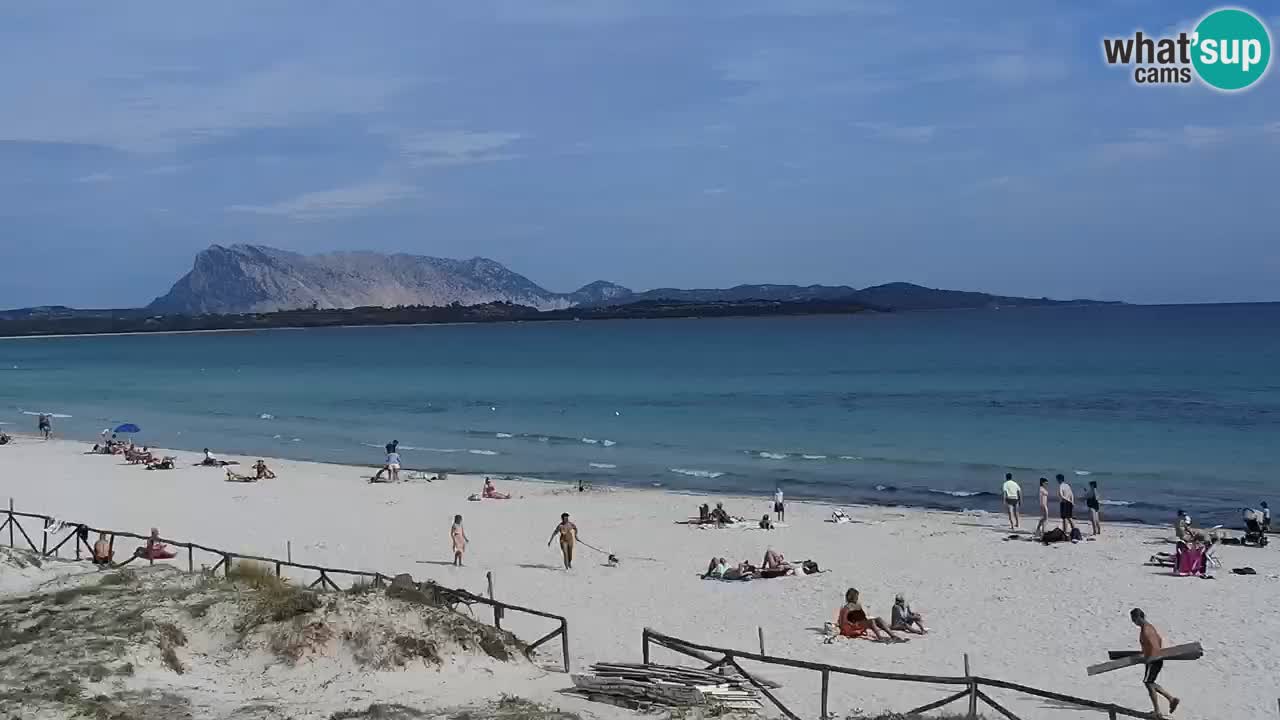 Playa de L’Isuledda – San Teodoro (OT) – Cerdeña