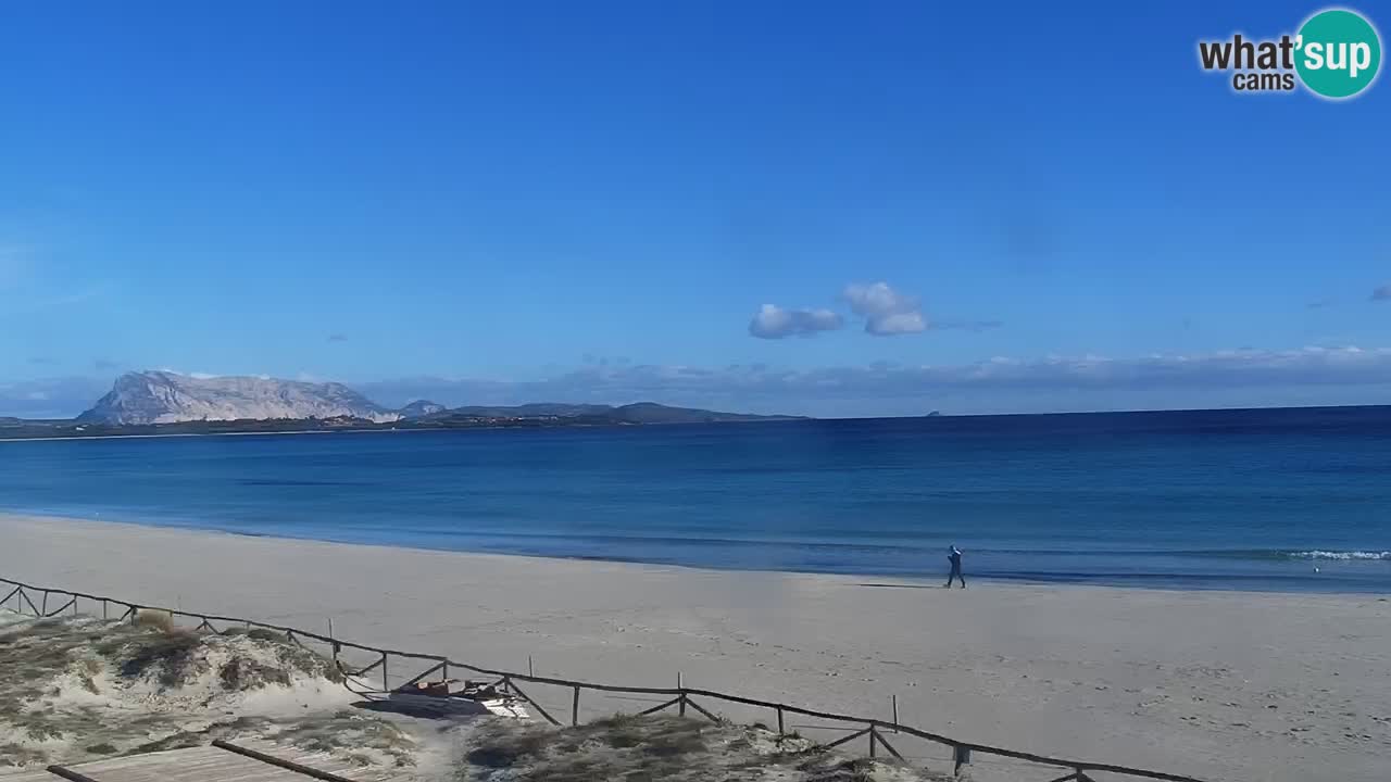 Beach de L’Isuledda – San Teodoro (OT) – Sardinia