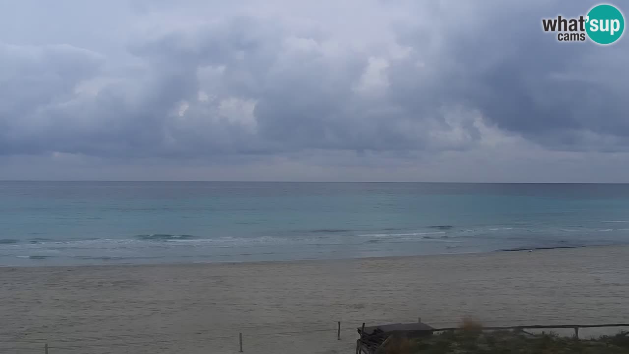 Playa de L’Isuledda – San Teodoro (OT) – Cerdeña