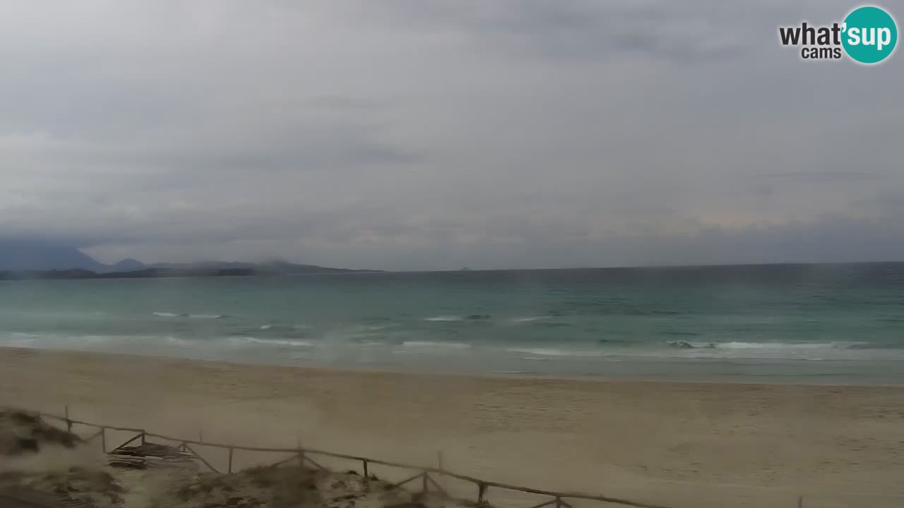 Strand de L’Isuledda – San Teodoro (OT) – Sardinien