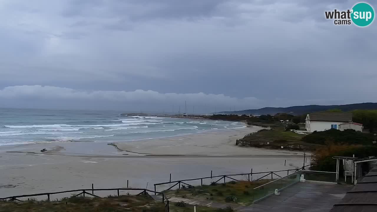 Beach de L’Isuledda – San Teodoro (OT) – Sardinia