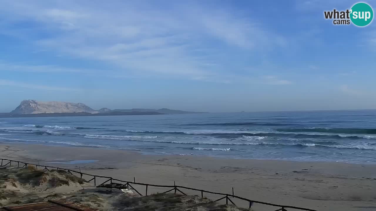 Plage de L’Isuledda – San Teodoro (OT) – Sardaigne