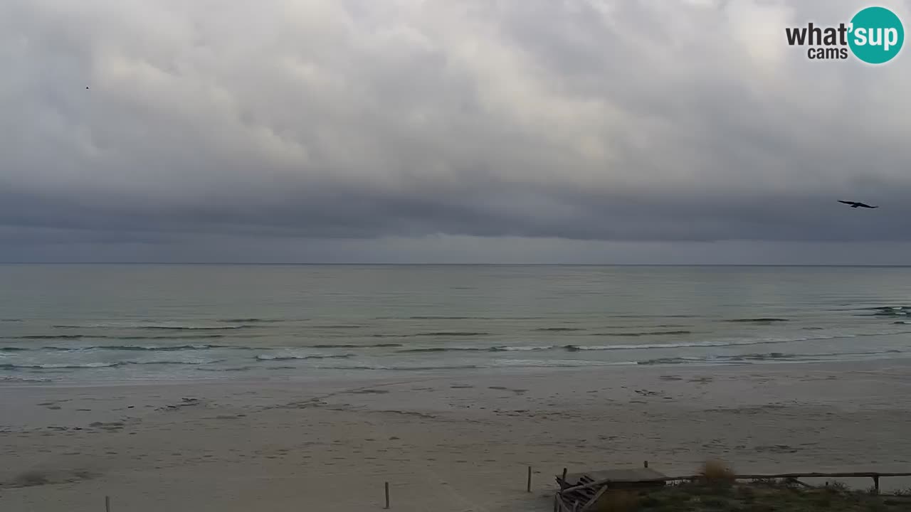 Plaža de L’Isuledda – San Teodoro (OT) – Sardinija