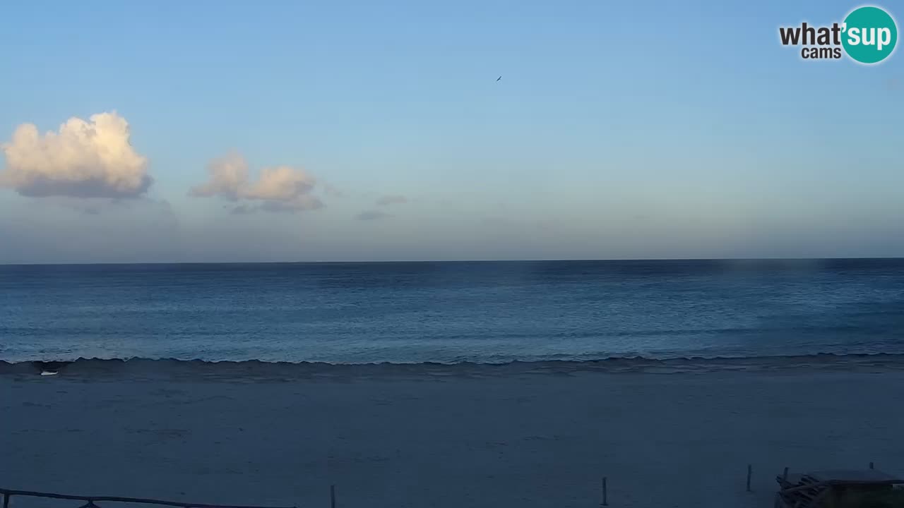 Beach de L’Isuledda – San Teodoro (OT) – Sardinia