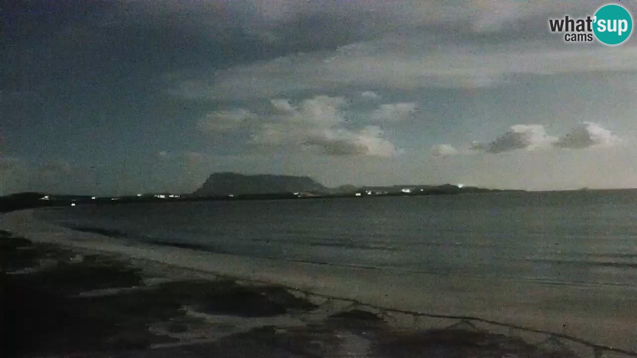 Strand de L’Isuledda – San Teodoro (OT) – Sardinien