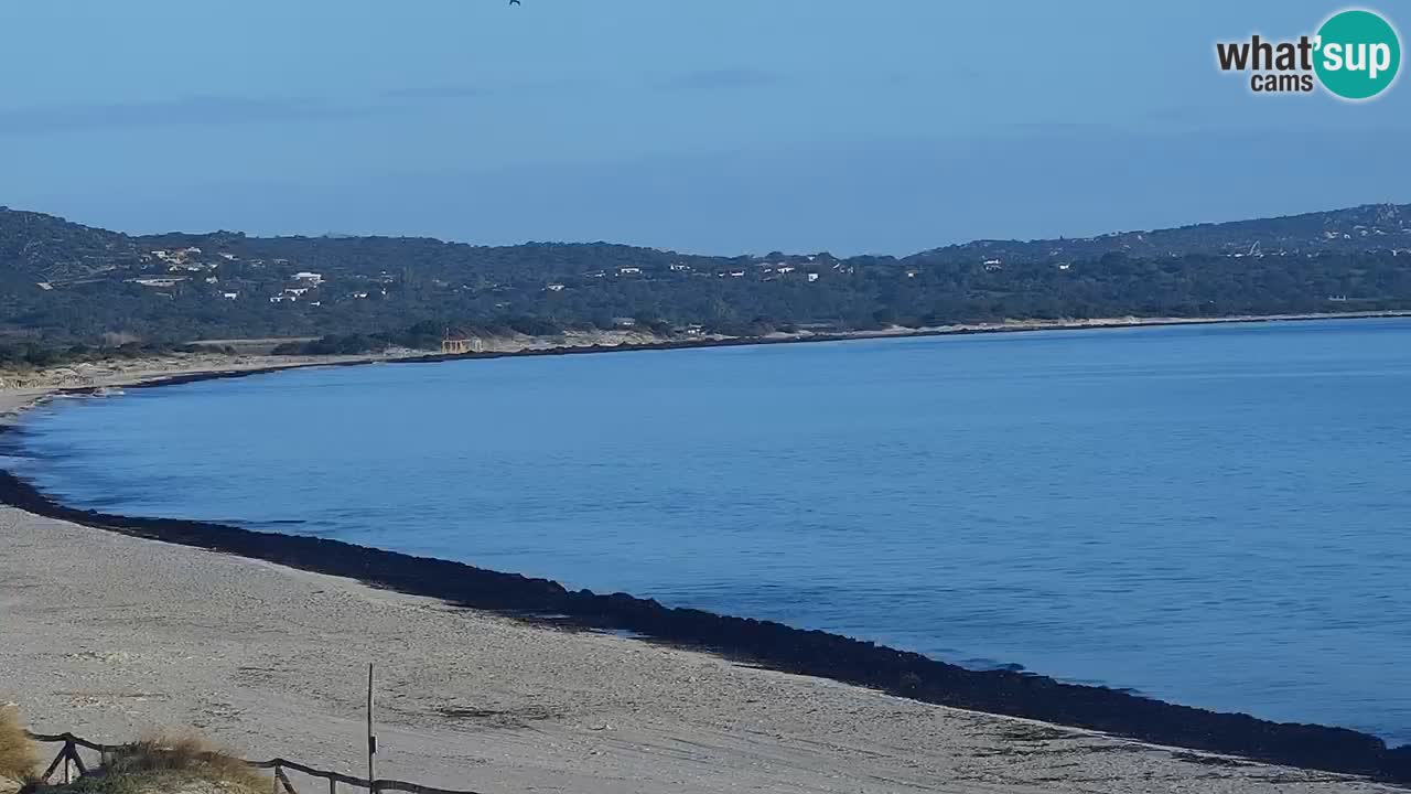 Beach de L’Isuledda – San Teodoro (OT) – Sardinia