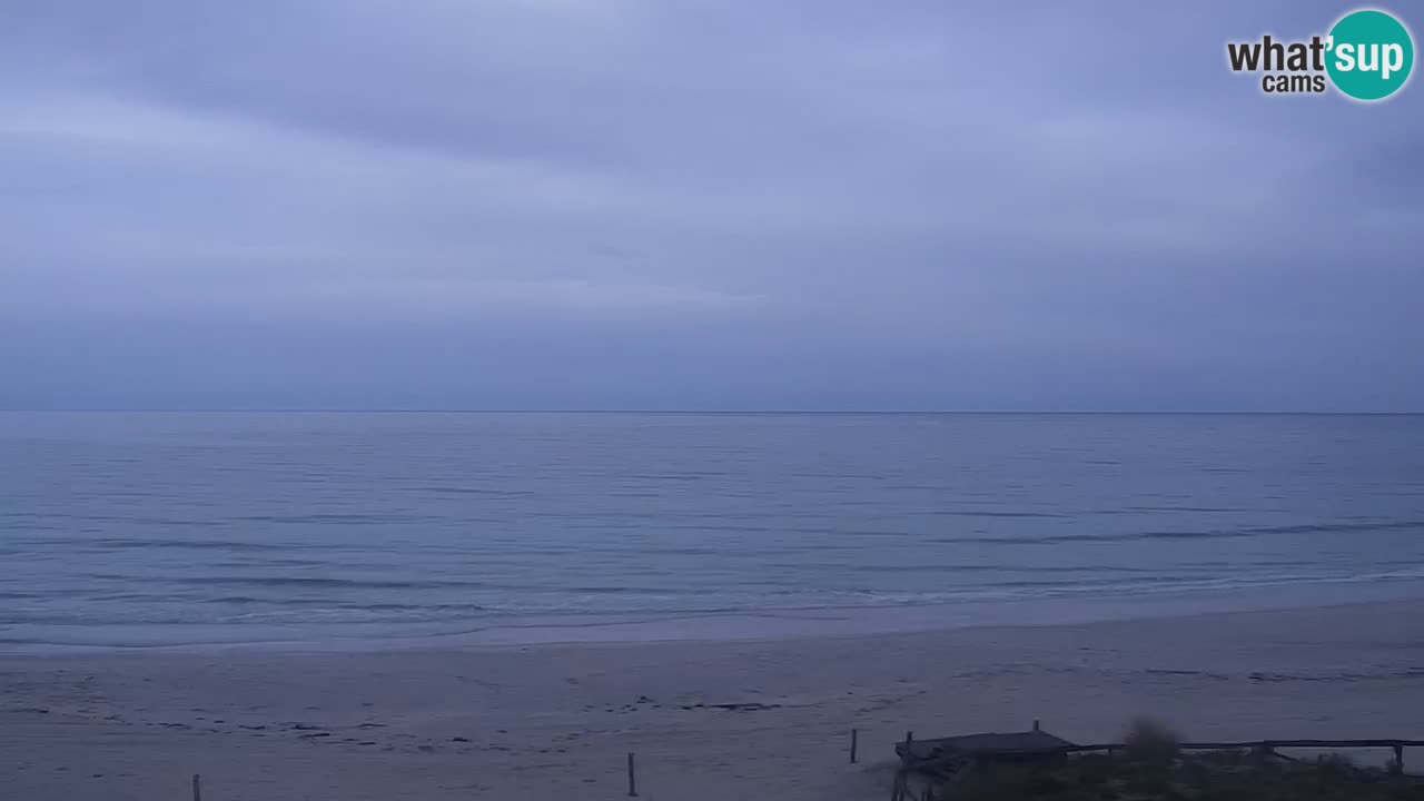 Beach de L’Isuledda – San Teodoro (OT) – Sardinia