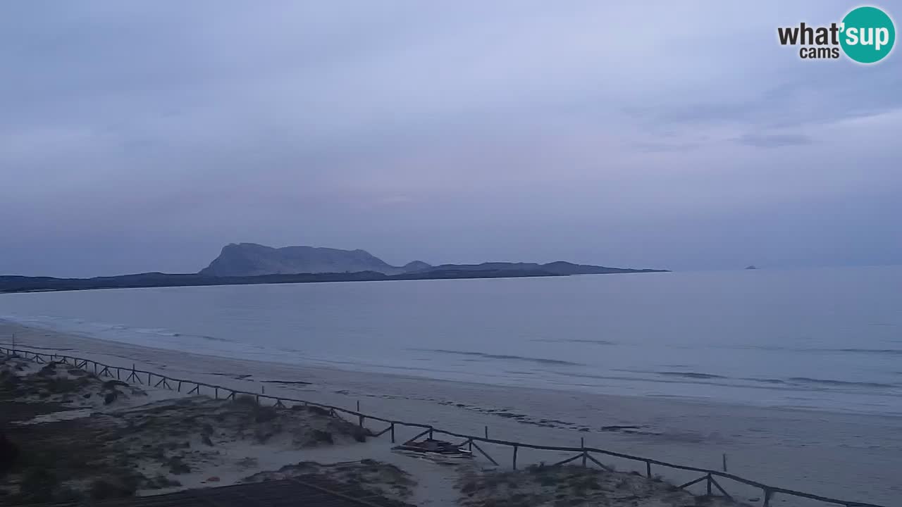 Playa de L’Isuledda – San Teodoro (OT) – Cerdeña