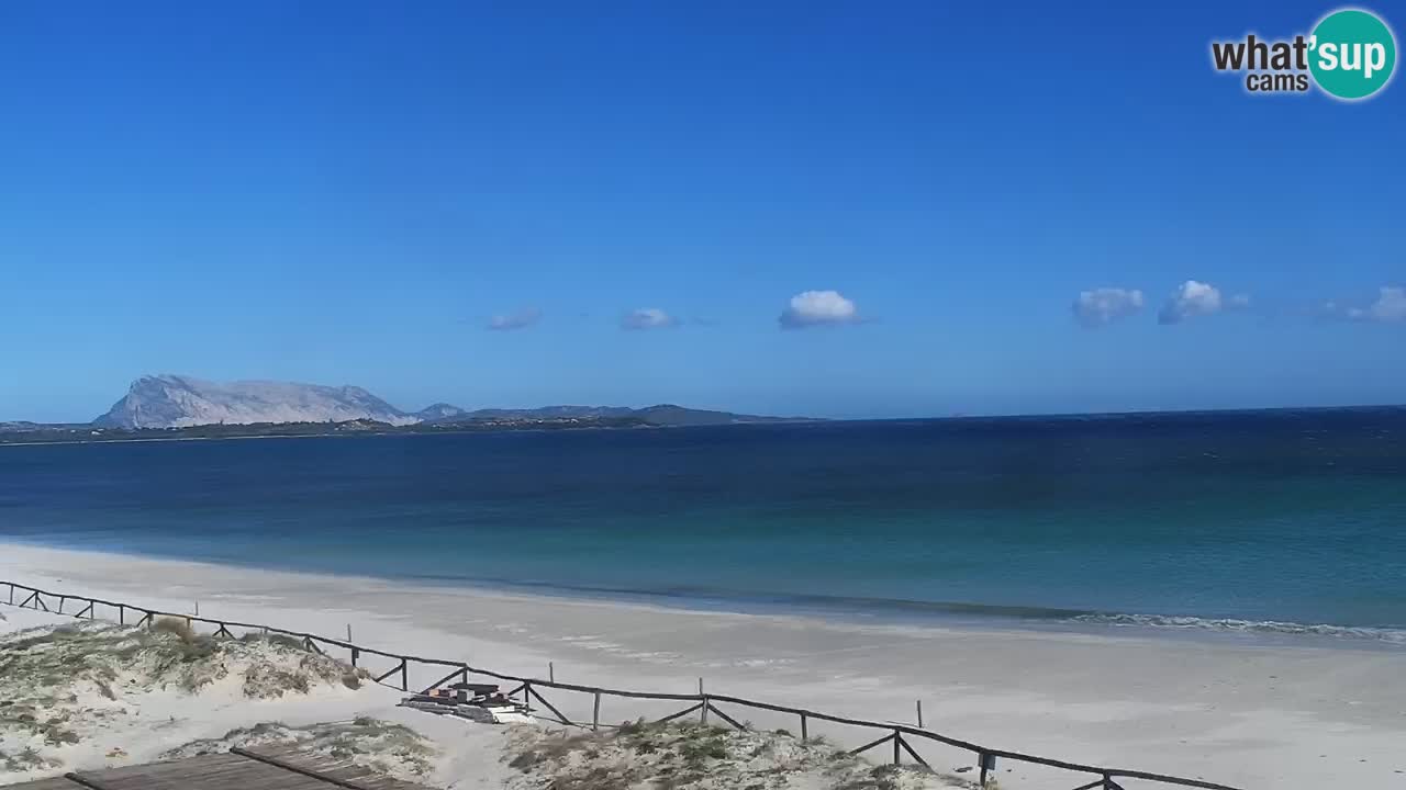 Playa de L’Isuledda – San Teodoro (OT) – Cerdeña
