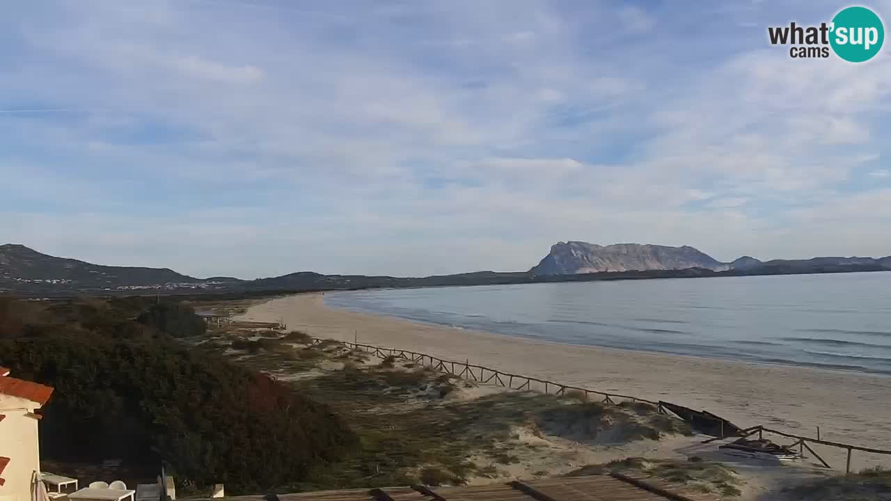Webcam La Cinta spiaggia di San Teodoro (OT) – Sardegna