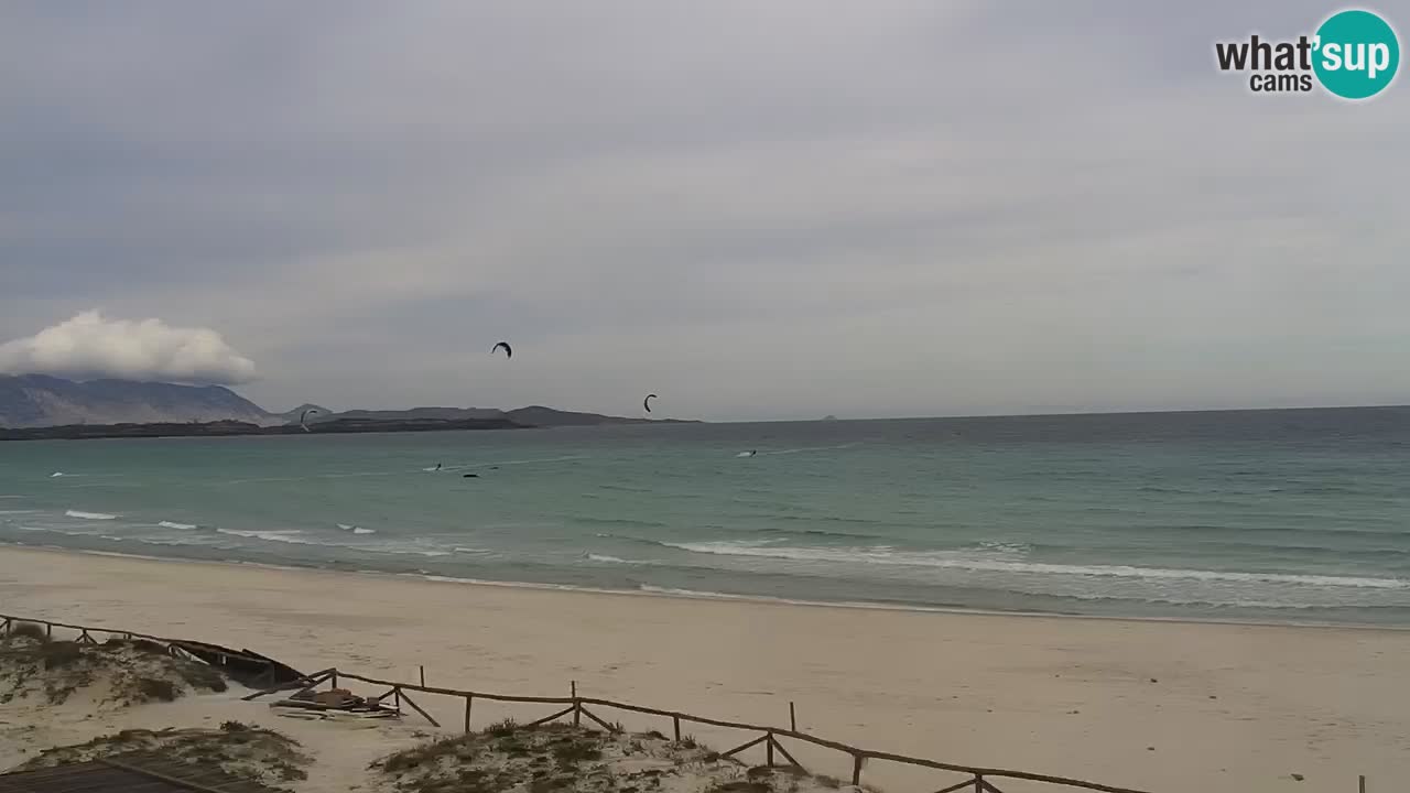Beach de L’Isuledda – San Teodoro (OT) – Sardinia