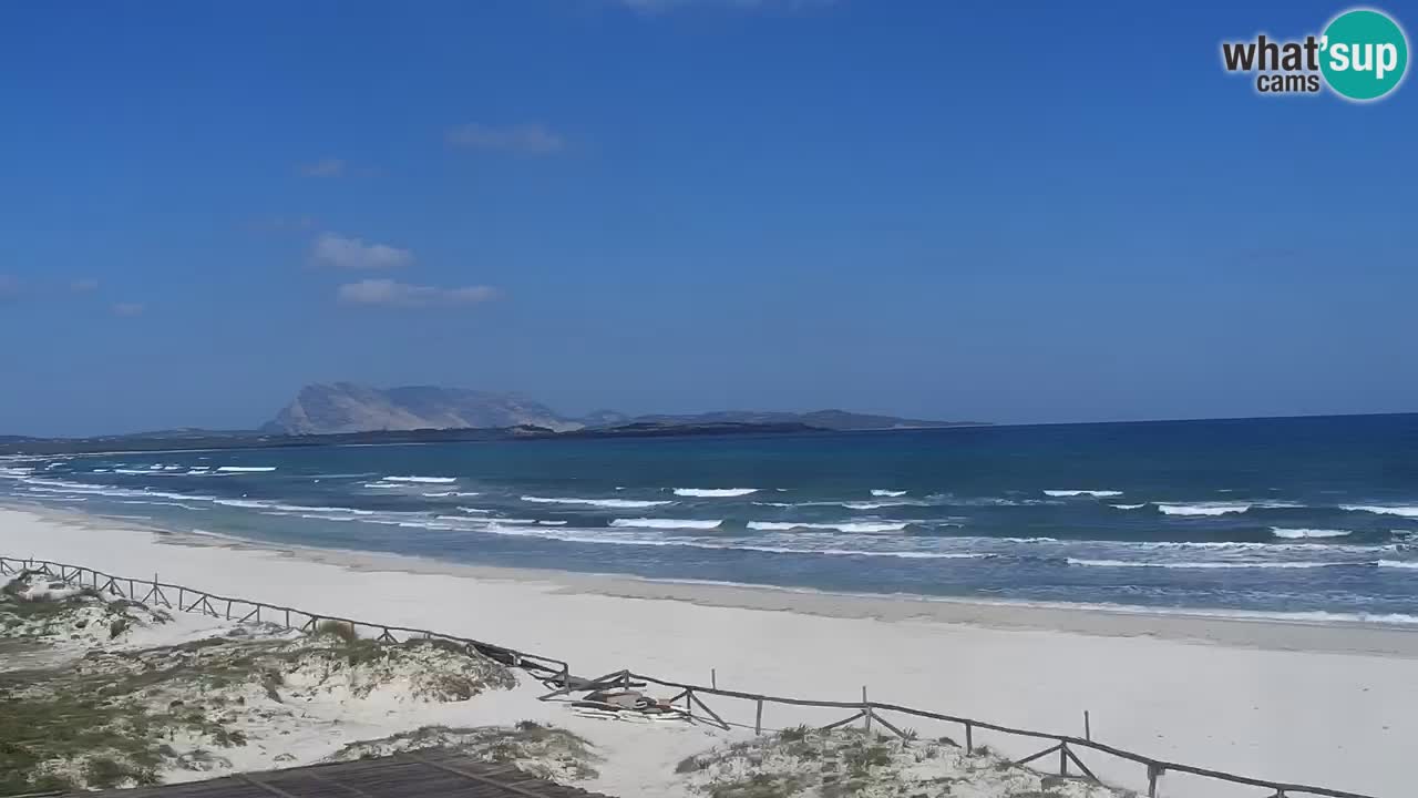 Webcam La Cinta spiaggia di San Teodoro (OT) – Sardegna