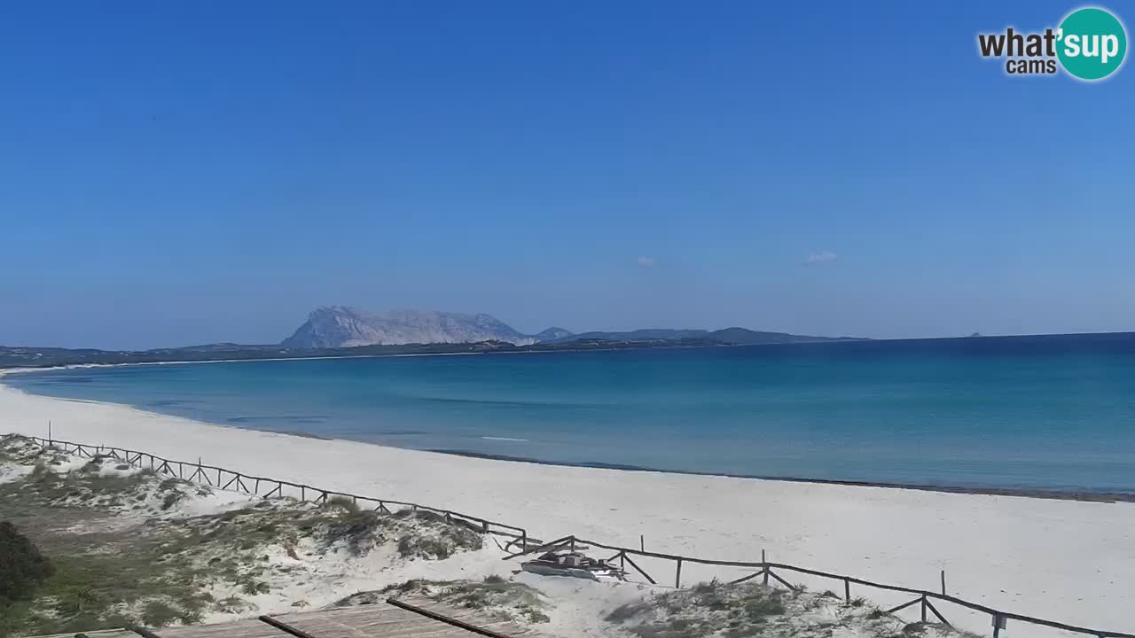 Strand de L’Isuledda – San Teodoro (OT) – Sardinien