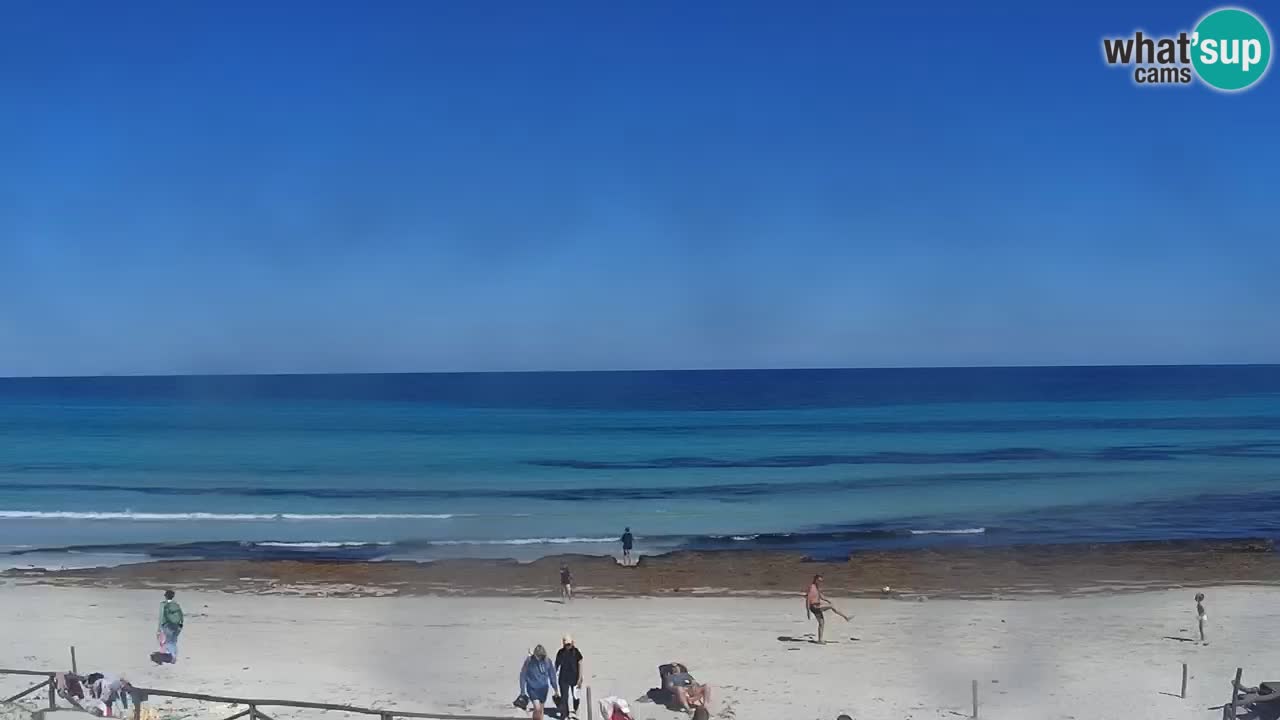 Strand de L’Isuledda – San Teodoro (OT) – Sardinien