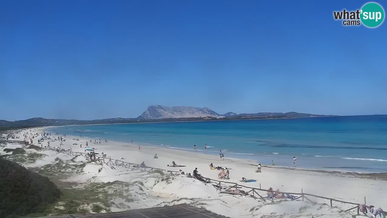 Webcam La Cinta spiaggia di San Teodoro (OT) – Sardegna
