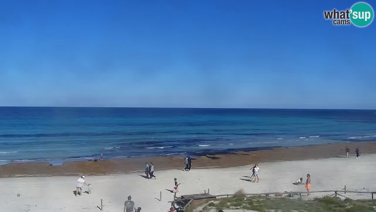 Strand de L’Isuledda – San Teodoro (OT) – Sardinien