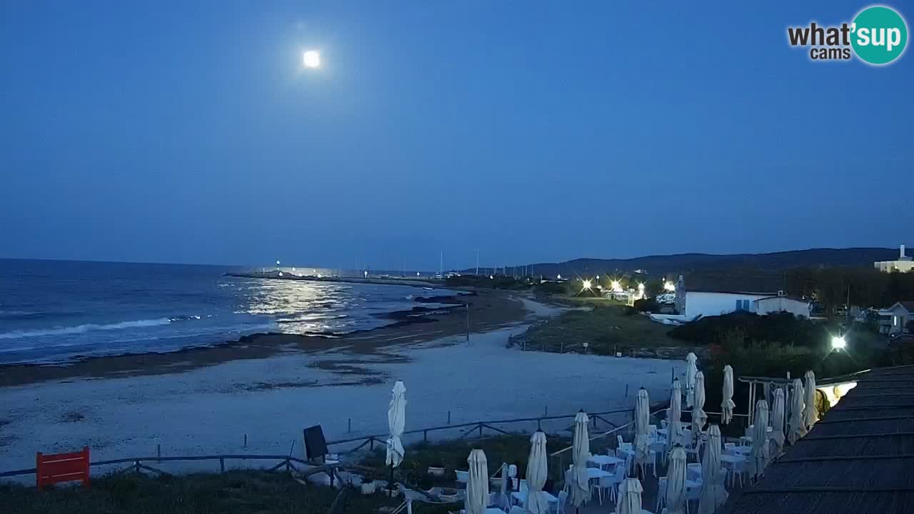 Beach de L’Isuledda – San Teodoro (OT) – Sardinia