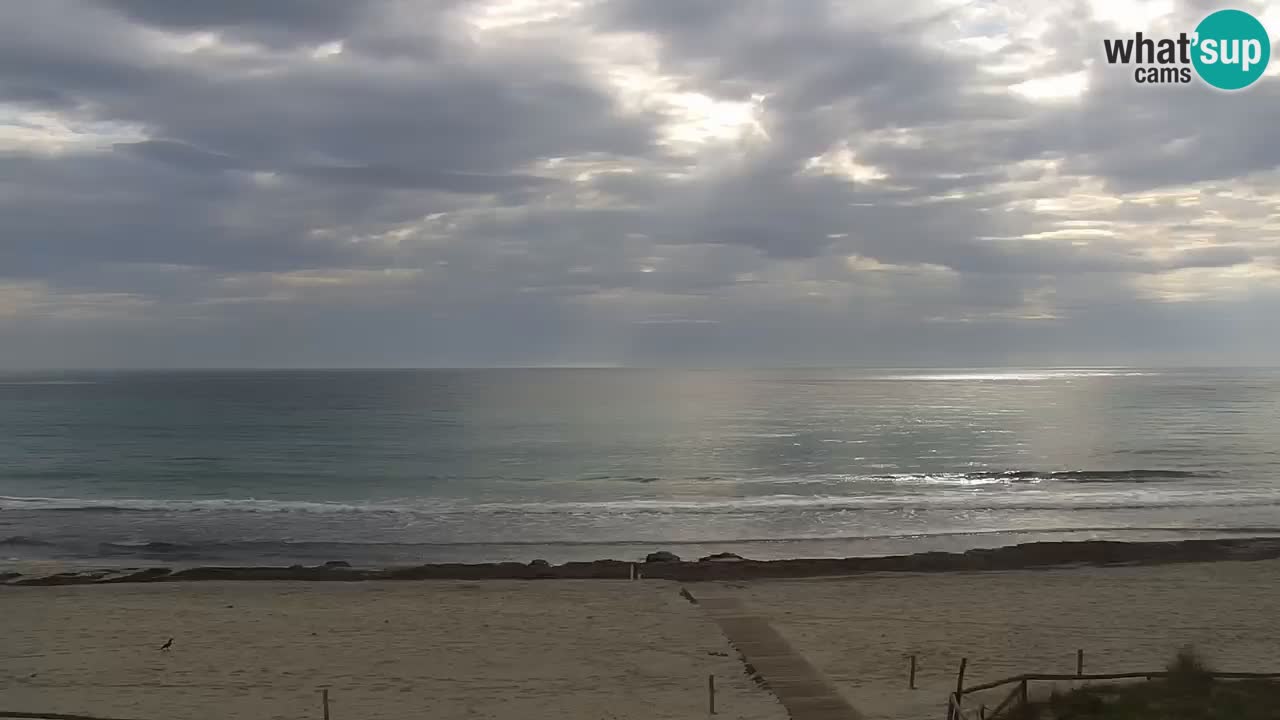 Beach de L’Isuledda – San Teodoro (OT) – Sardinia
