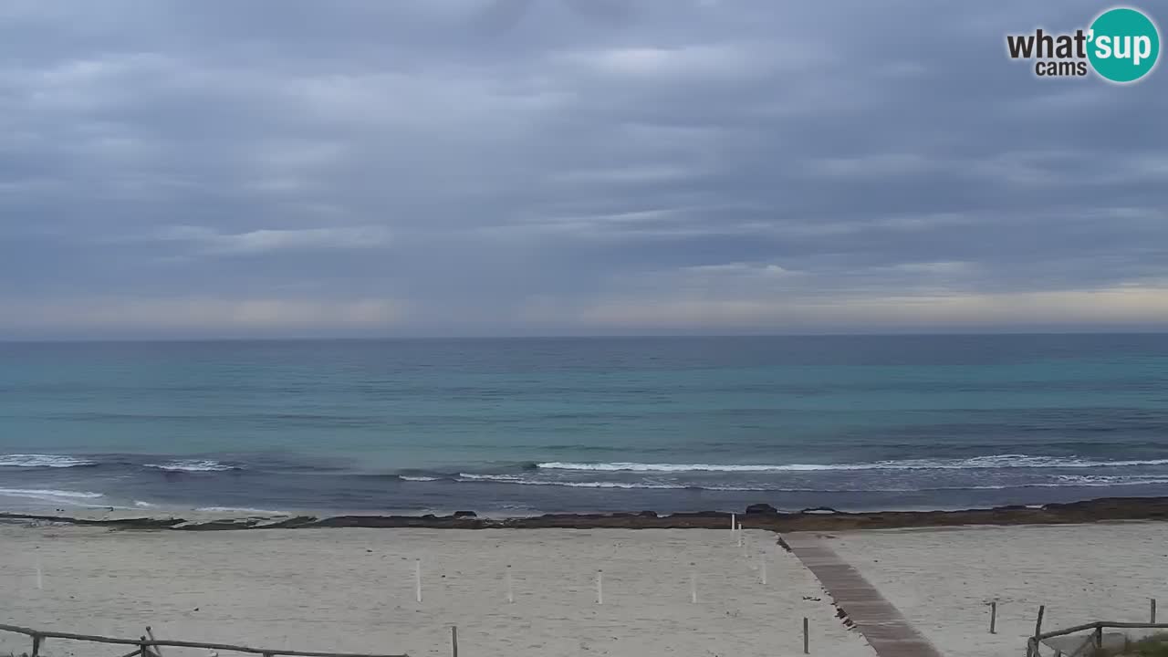 Plage de L’Isuledda – San Teodoro (OT) – Sardaigne
