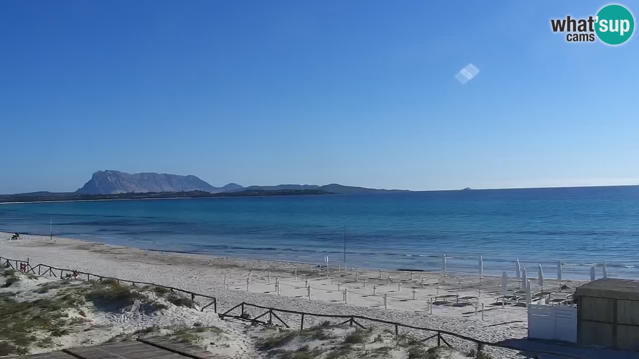 Strand de L’Isuledda – San Teodoro (OT) – Sardinien