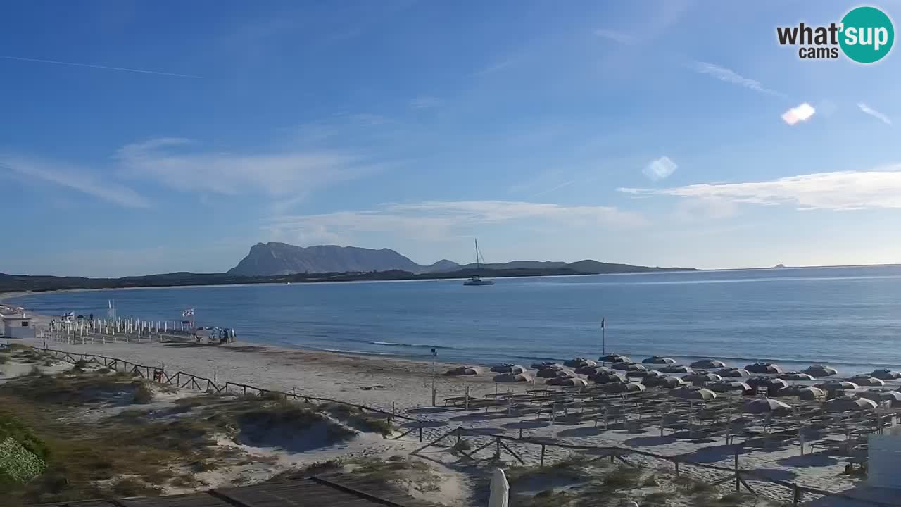 Playa de L’Isuledda – San Teodoro (OT) – Cerdeña