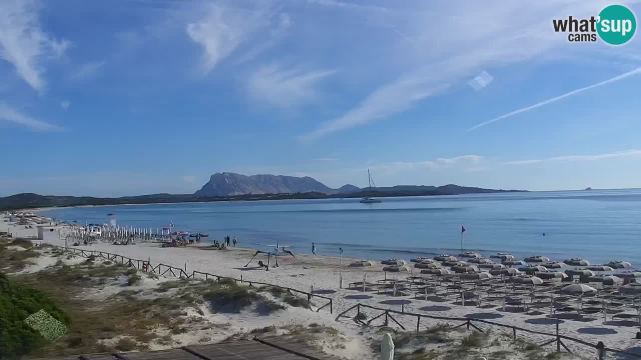 Beach de L’Isuledda – San Teodoro (OT) – Sardinia