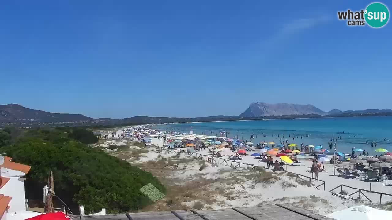 Beach de L’Isuledda – San Teodoro (OT) – Sardinia