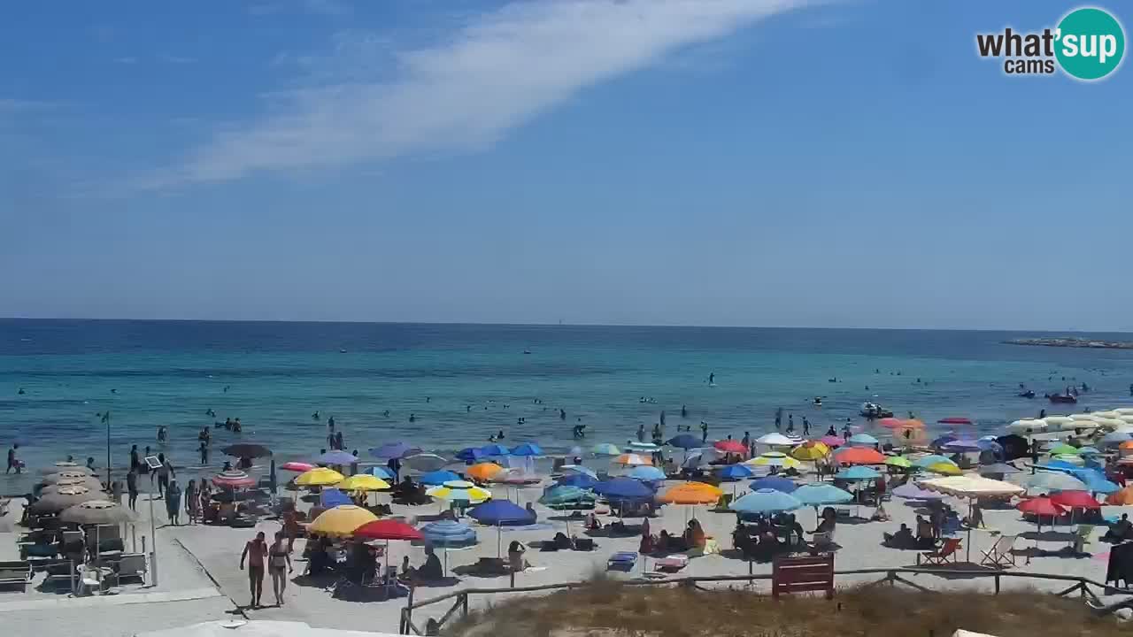 Beach de L’Isuledda – San Teodoro (OT) – Sardinia