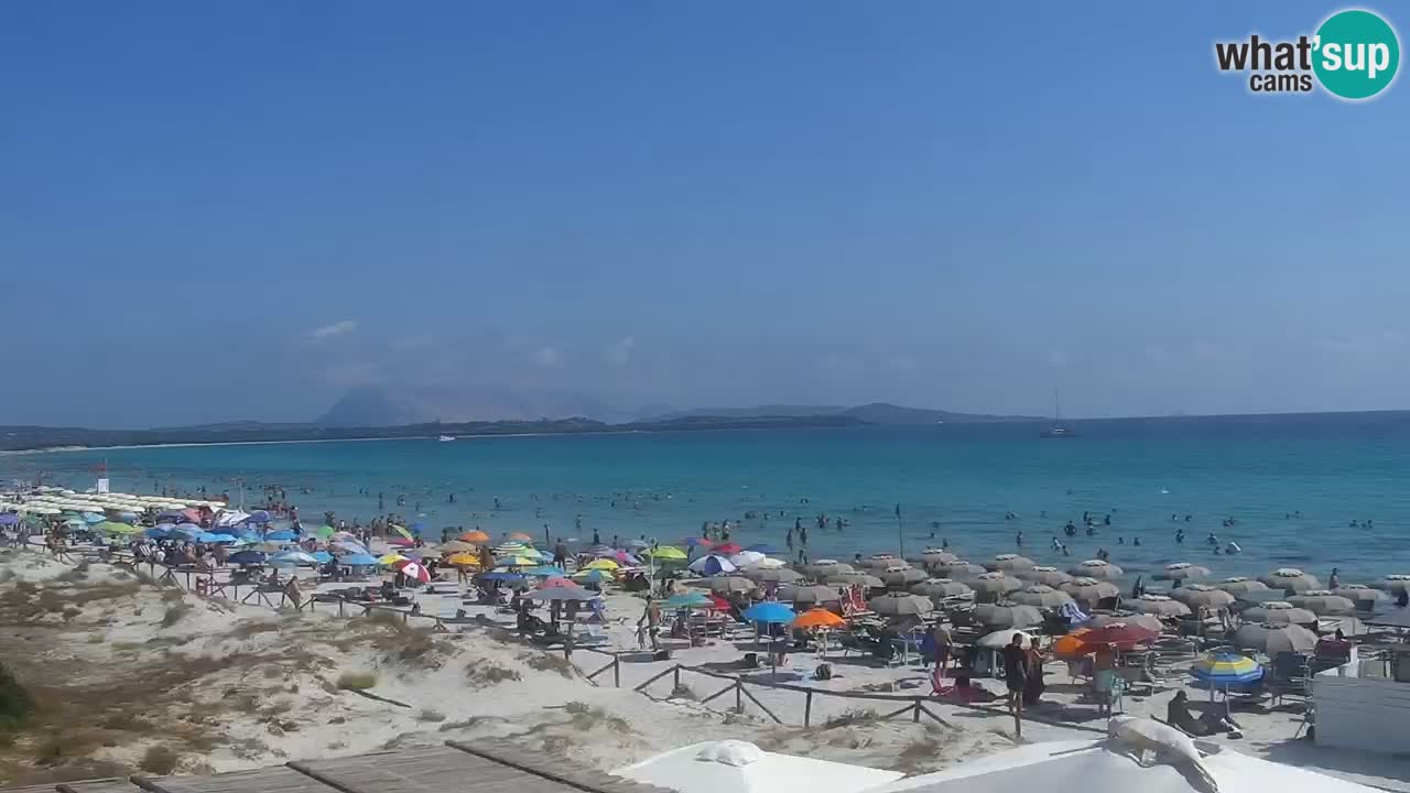 Plage de L’Isuledda – San Teodoro (OT) – Sardaigne