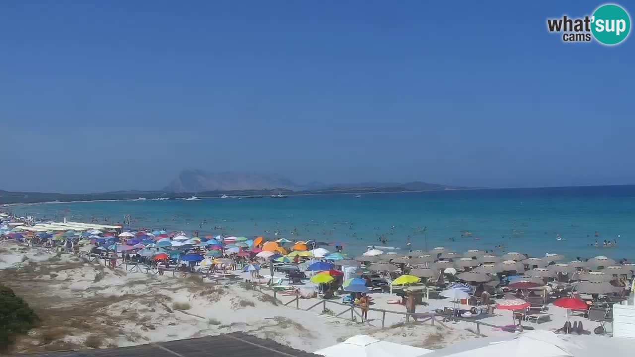Strand de L’Isuledda – San Teodoro (OT) – Sardinien