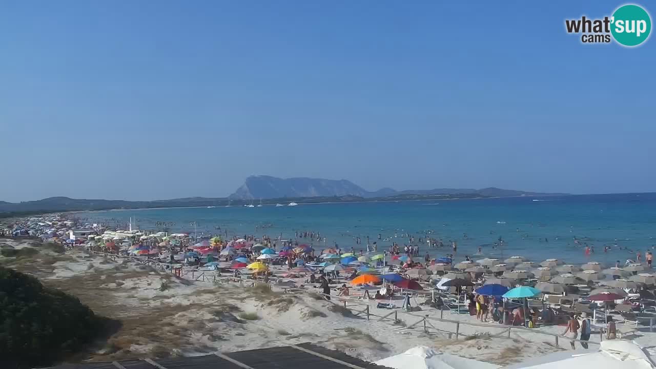 Plaža de L’Isuledda – San Teodoro (OT) – Sardinija