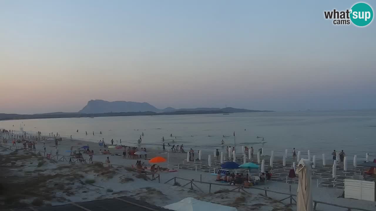 Playa de L’Isuledda – San Teodoro (OT) – Cerdeña