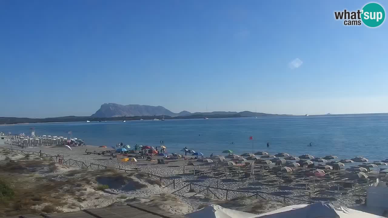 Plage de L’Isuledda – San Teodoro (OT) – Sardaigne