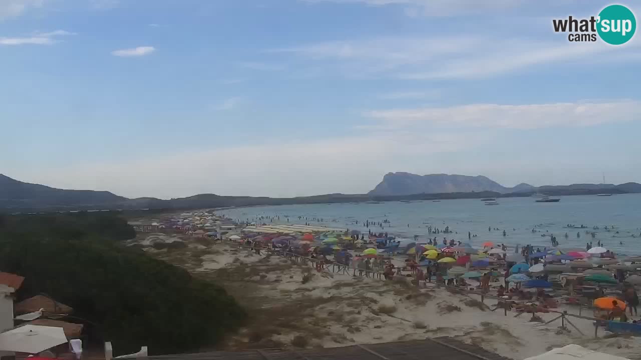 Beach de L’Isuledda – San Teodoro (OT) – Sardinia