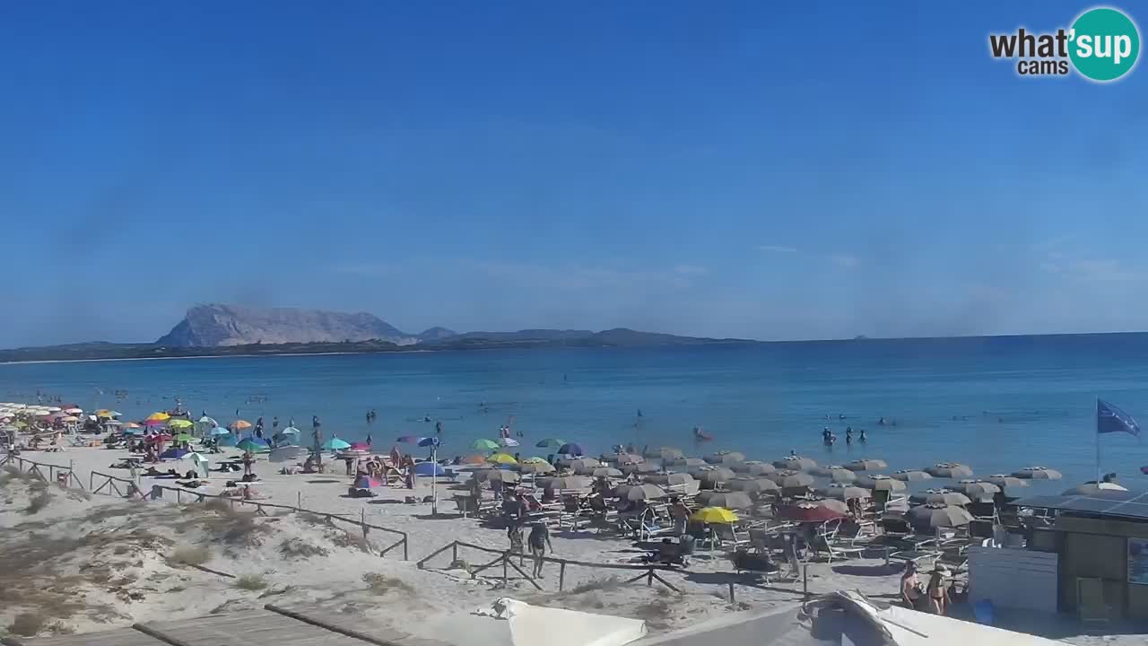 Beach de L’Isuledda – San Teodoro (OT) – Sardinia